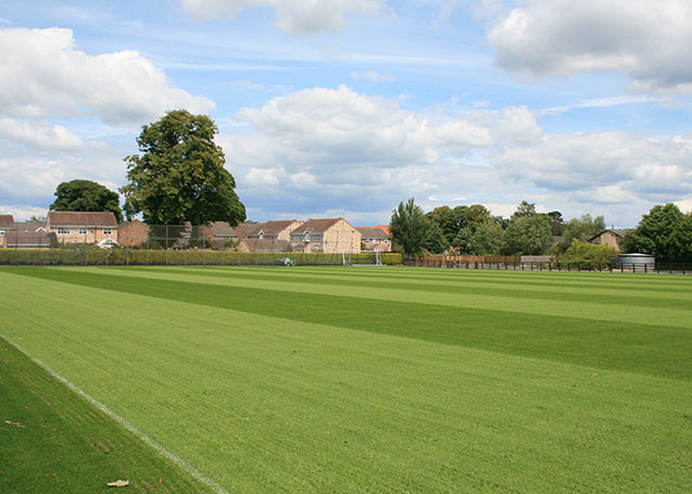 pitch after shockwaving